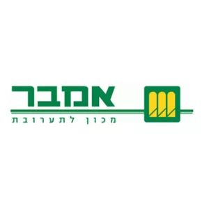 אמבר