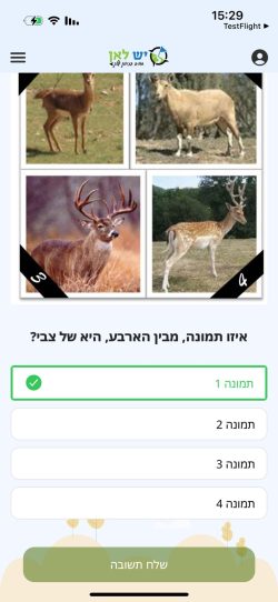תמונה של WhatsApp‏ 2025-05-25 בשעה 15.32.00_8b4dcd9e